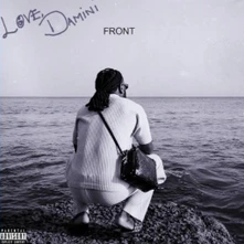 CD Love, Damini (Alternate Cover 1)