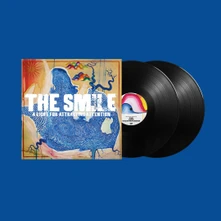 Vinyl A LIGHT FOR ATTRACTING ATTENTION