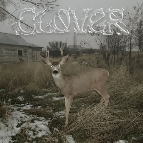 CLOVER