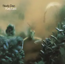 Katy Lied thumbnail