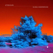Global Underground, CD GLOBAL UNDERGROUND: AFTERHOURS 9