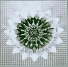 CD Jon Hassell Vs 808 State - Voiceprint
