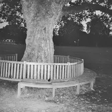 Vinyl A NEW PLACE 2 DROWN