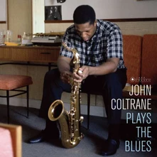 Vinyl PLAYS THE BLUES