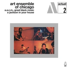 Art Ensemble of Chicago, CD A JACKSON IN YOUR HOUSE