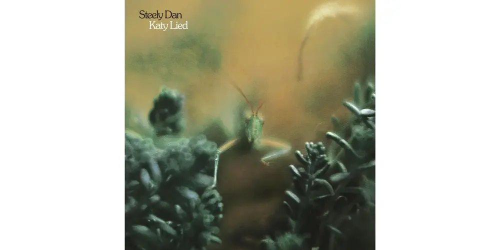 KATY LIED