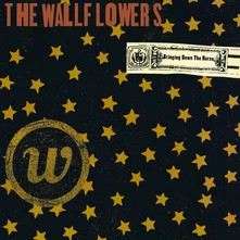 The Wallflowers, Vinyl BRINGING DOWN THE HORSE