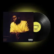 Vinyl La Grande Désillusion