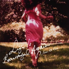 Vinyl LIFE IS BEAUTIFUL AGAIN
