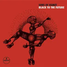 Vinyl BLACK TO THE FUTURE