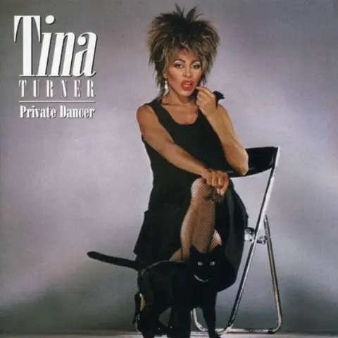 Private Dancer (Slip-Case)
