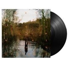 Vinyl LEAVE WHAT YOU KNOW