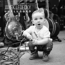 Vinyl Unplugged