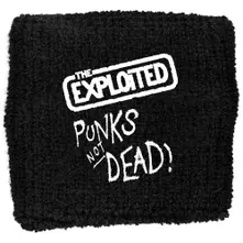 Punks Not Dead thumbnail