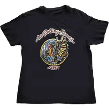 Sixty Dragon Globe thumbnail