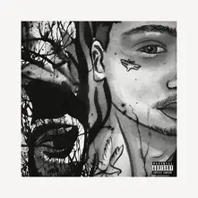 CD ADHDKIDD