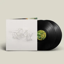 Big Thief, Vinyl DRAGON NEW WARM MOUNTAIN I BELIEVE IN YOU