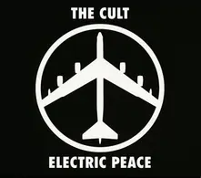 Vinyl ELECTRIC PEACE