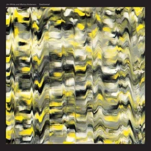 Jim White and Marisa Anderson, Vinyl SWALLOWTAIL