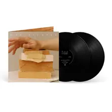 Vinyl In A Landscape