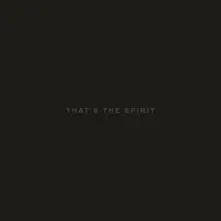 Vinyl That's the Spirit