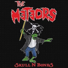 Vinyl METEORS - SKULL N BONES