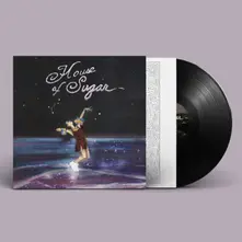 Alex G – HOUSE OF SUGAR (Vinyl)