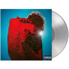 Vinyl THE PAIN THAT SHAPES US