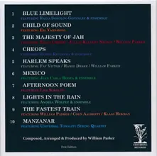 William Parker – MIGRATION OF SILENCE INTO AND OUT OF THE TONE WORLD (VOL.1-10) (CD)