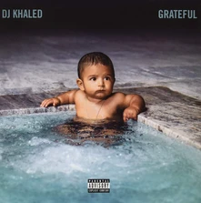 Vinyl Grateful