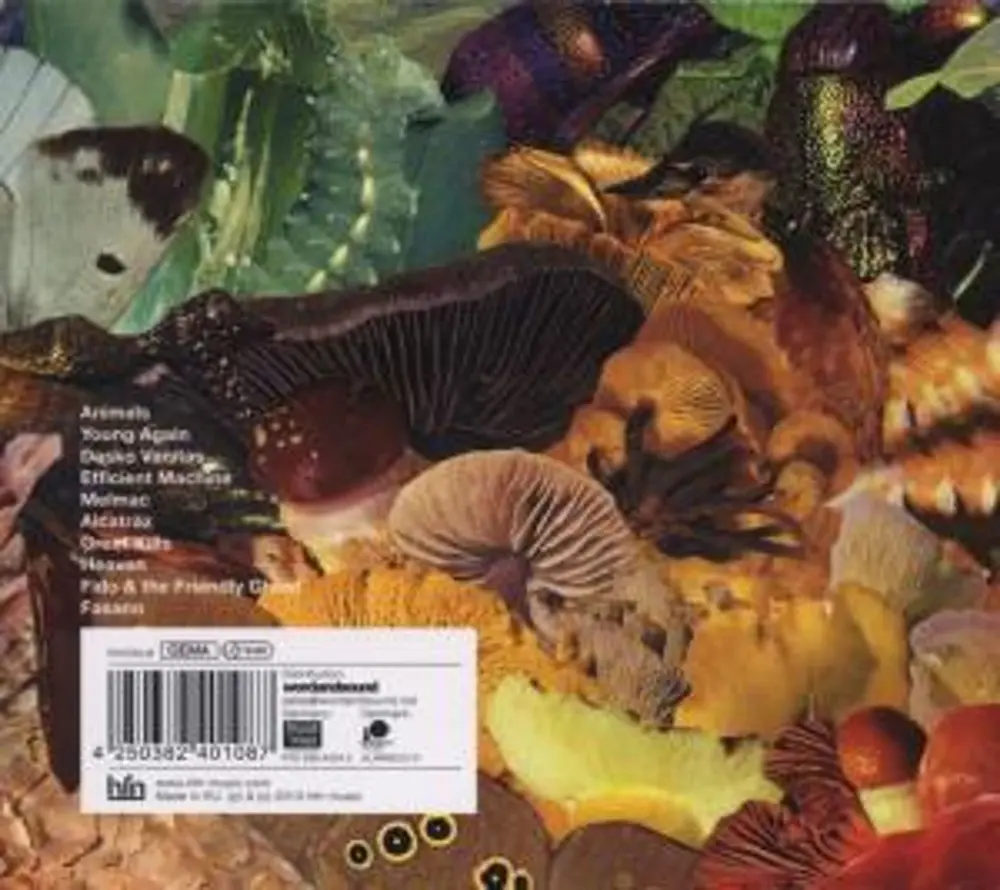 Bjorke, Kasper - Standing On Top of Utopia
