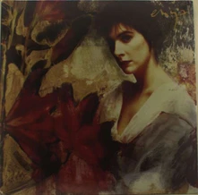 Enya, Vinyl WATERMARK