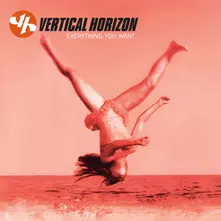 Vinyl Everything You Want (25th Anniversary)