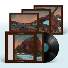 Vinyl FEVER DREAMS