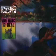 Crystal Antlers, CD NOTHING IS REAL