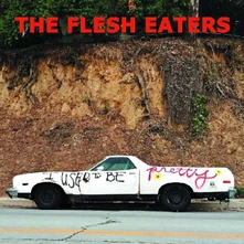 Vinyl FLESH EATERS - I USED TO BE PRETTY