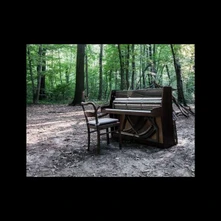 CD ACOUSTIC II