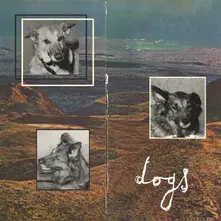 Vinyl DOGS