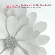 CD Be Opened By The Wonderful