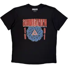 1991 thumbnail