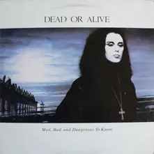 Vinyl MAD, BAD AND DANGEROUS TO KNOW