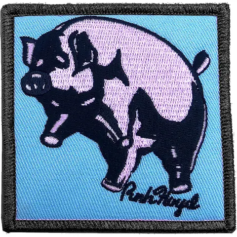 Animals Pig