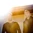 The Cinematic Orchestra