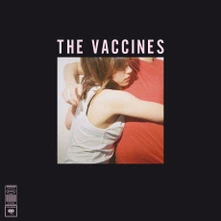 CD WHAT DID YOU EXPECT FROM THE VACCINES