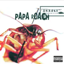 CD INFEST