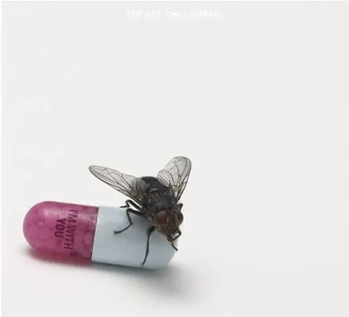 Red hot chili peppers – I'M WITH YOU (CD)