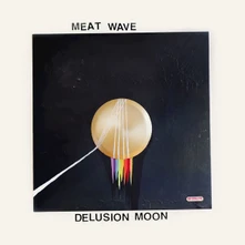 Vinyl DELUSION MOON