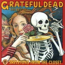 Vinyl SKELETONS FROM THE CLOSET