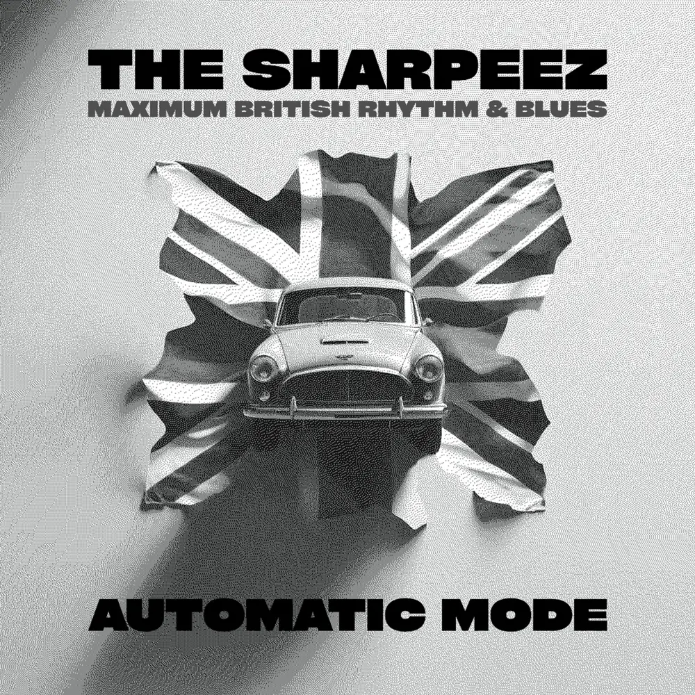 AUTOMATIC MODE