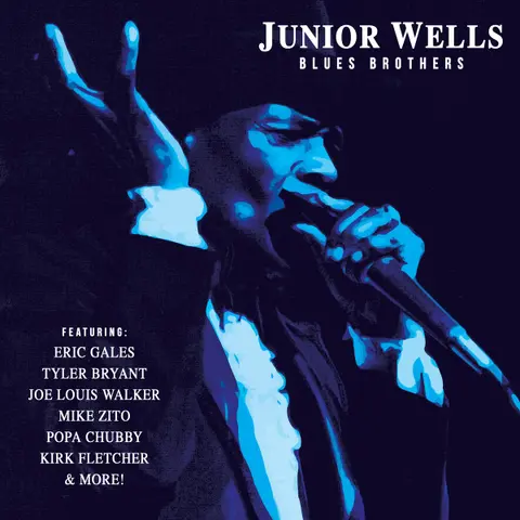 Junior Wells – Vinyl BLUES BROTHERS